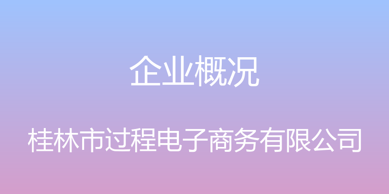 企业概况 - 桂林市过程电子商务有限公司