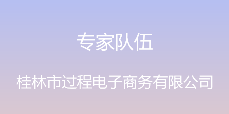 专家队伍 - 桂林市过程电子商务有限公司